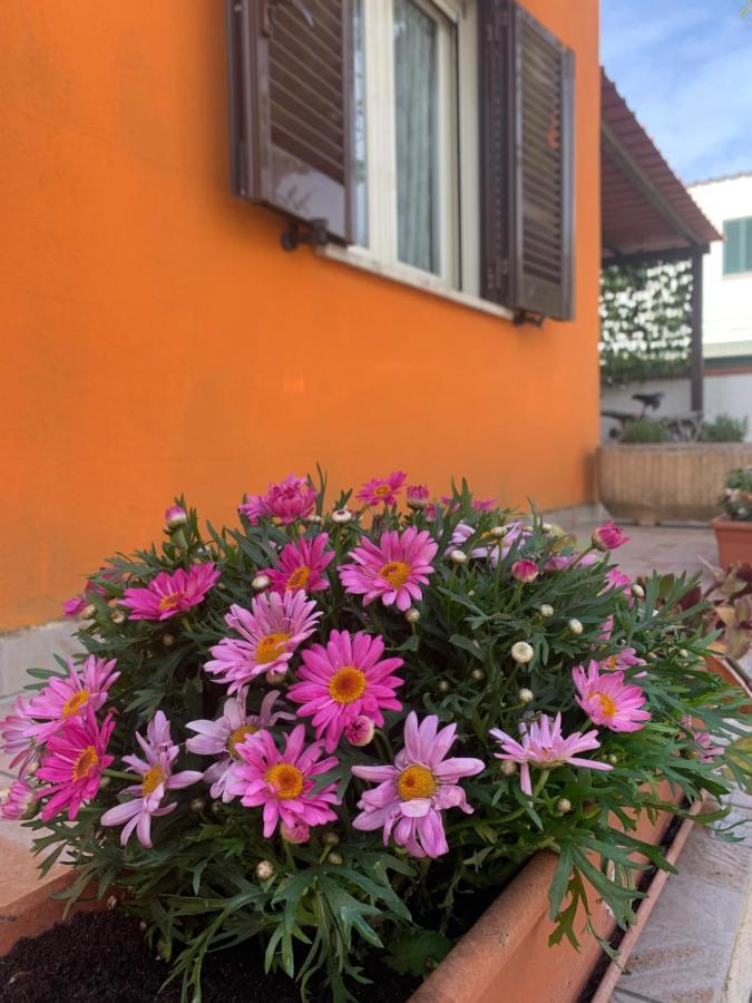 Casa Mare Al Circeo Villa San Felice Circeo Exterior foto